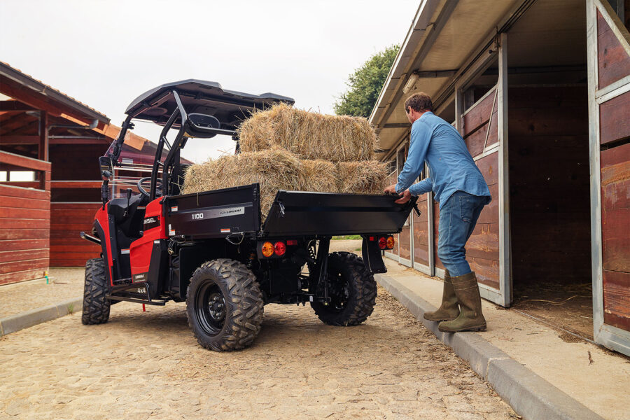 UTV Linhai LH 1100U-D Promax EPS Diésel 4x4 | Homologado con Motor Kubota - Imagen 3