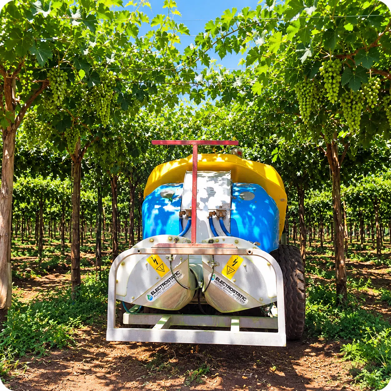 Nebulizador Martignani trabajando en cultivo